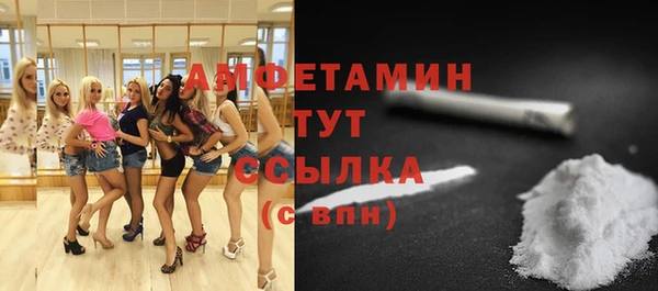 индика Балабаново