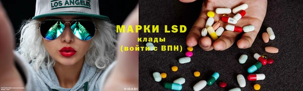 индика Балабаново