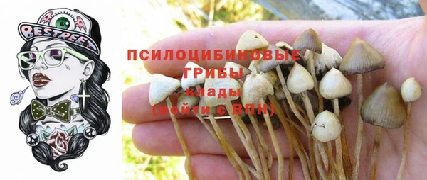 индика Балабаново